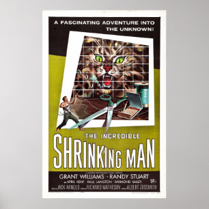 Den otroliga krympande mannen poster