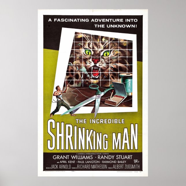 Den otroliga skurkmannen poster (Framsidan)