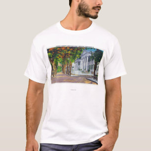 Den övrehuvudsakliga gatan beskådar av koloniala t-shirt