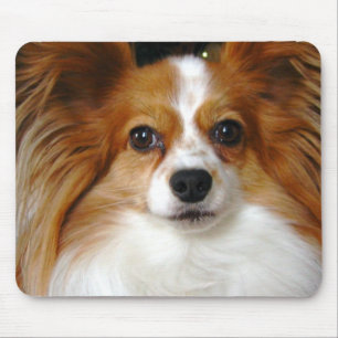 Den Papillon musen vadderar Musmatta