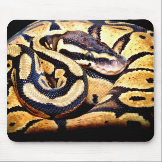 Den pastellfärgade bollmusen vadderar musmatta