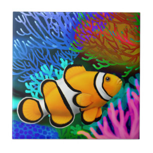 Den Percula clownAnenome fisken belägger med tege Kakelplatta