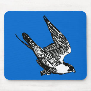 Den Peregrine falken skissar Musmatta