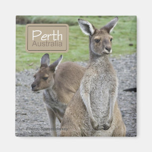 Den Perth Australien kängurun reser kylmagneter Magnet