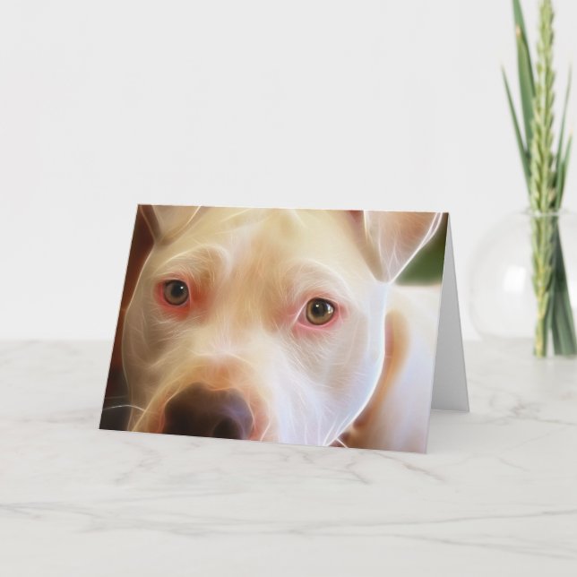 Den Pitbull valphunden synar konstfotografi Kort (Framsida)