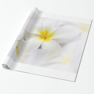 Den PlumeriaFrangipaniHawaii blomman blommar Presentpapper