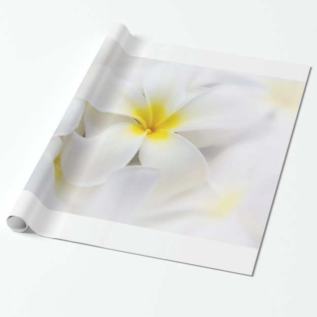 Den PlumeriaFrangipaniHawaii blomman blommar Presentpapper (Utrullad)