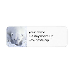 Den polara björnen ta sig en tupplur returadress etikett