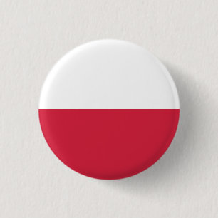 Den Polen flagga knäppas Knapp