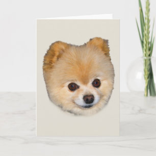 Den Pomeranian hunden noterar eller hälsningkortet Kort