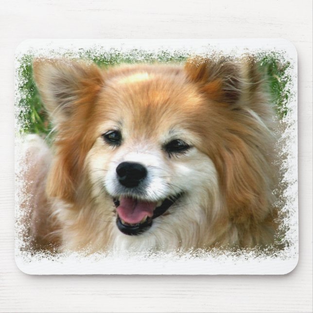 Den Pomeranian musen vadderar Musmatta (Framsidan)