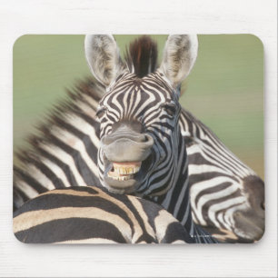 Den privata talaen reserverar, Kwazulu Natal, Musmatta