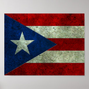 Den Puerto Rican flaggaåldrasen stålsätter Poster