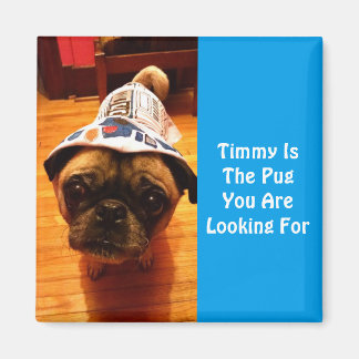 Den Pug du är Tittar för Magnet