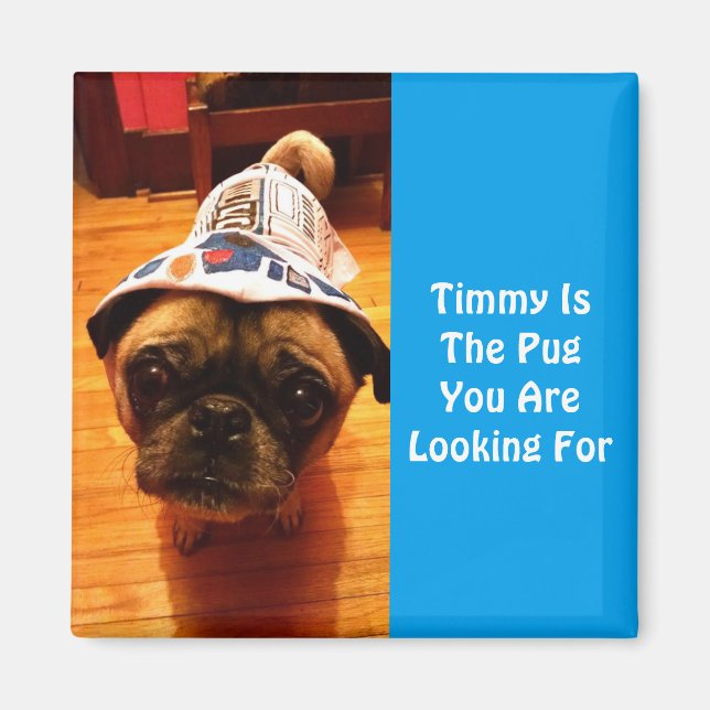 Den Pug du är Tittar för Magnet (Framsidan)