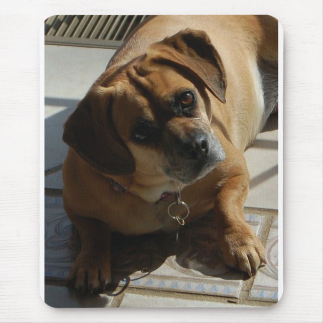 Den Puggle musen vadderar Musmatta (Framsidan)