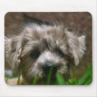 Den Pupppy musen vadderar Musmatta