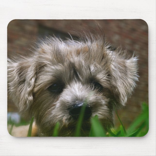 Den Pupppy musen vadderar Musmatta (Framsidan)