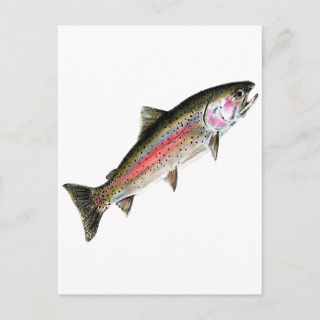 DEN PURE VYKORT (Framsida)