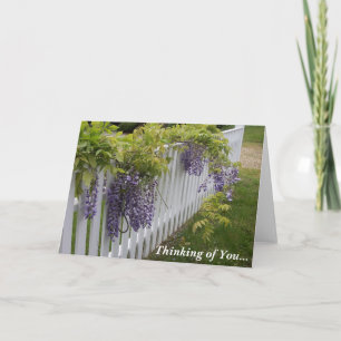 Den purpurfärgade wisteriaen som är tänkande av kort