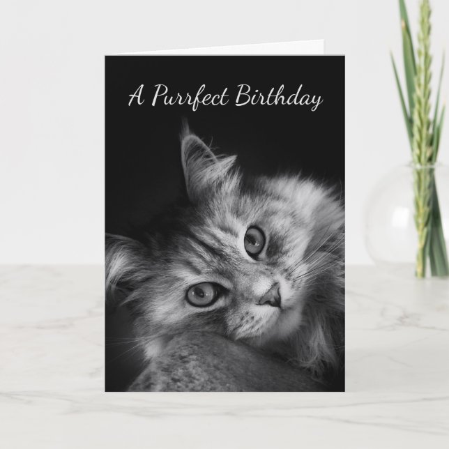 Den Purrfect födelsedagen önskar kortet Kort (Framsida)