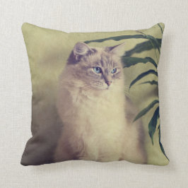 Den Ragdoll katten dämpar Kudde