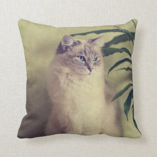 Den Ragdoll katten dämpar Kudde