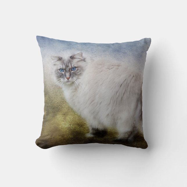 Den Ragdoll katten kudder Kudde (Framsida)