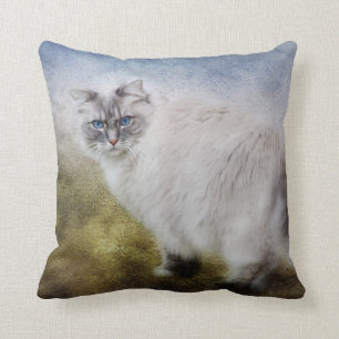 Den Ragdoll katten kudder Kudde