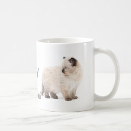 Den Ragdoll kattungen skissar muggen Kaffemugg