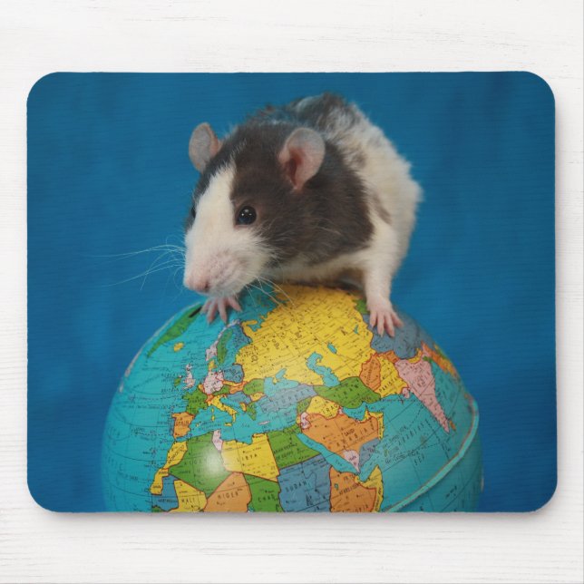 Den Rattie musen vadderar Musmatta (Framsidan)