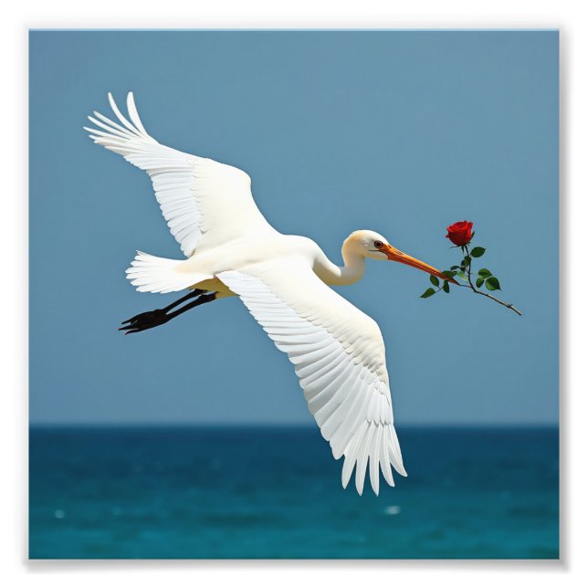 Den resande fågeln fototryck (Framsidan)