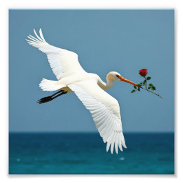 Den resande fågeln fototryck