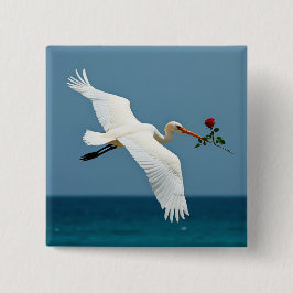 Den resande fågeln knapp