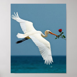 Den resande fågeln poster