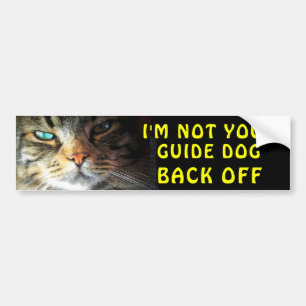 Den rikliga katten är inte din vägleder hunden bildekal