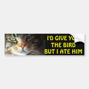 Den rikliga katten åt den Anti tailgatingen för Bildekal