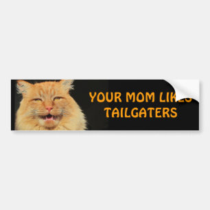 Den rikliga katten din mamma gillar Tailgaters Bildekal