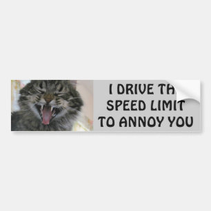 Den rikliga katten förargar Speeders Meme Bildekal