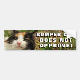 Den rikliga katten godkänner inte Meme Bildekal