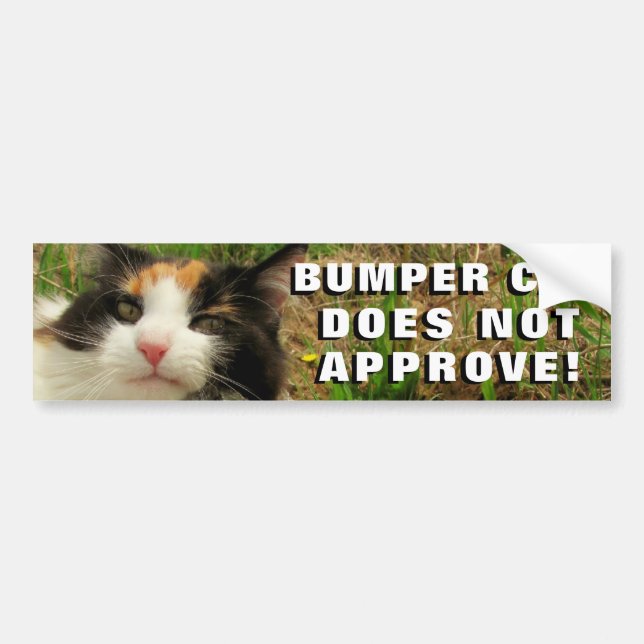 Den rikliga katten godkänner inte Meme Bildekal (Framsidan)