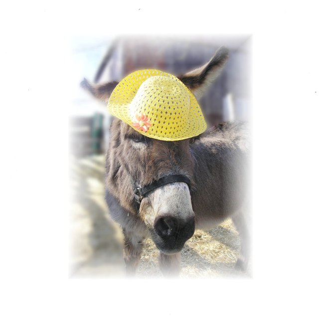 "Den riktiga påskharen" julkort Helgkort (Skapare uppladdad)