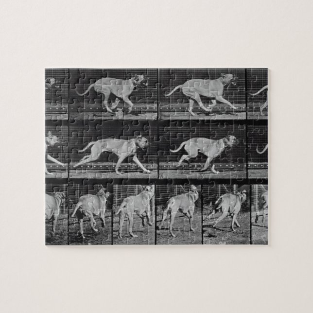 Den rinnande hunden, pläterar 707 från "djur pussel (Horisontell)