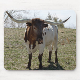 Den Roan Longhornsteeren- personifierar, om önska Musmatta