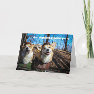 Den Robin Hood corgien får det väl kortet Kort