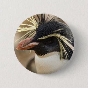 Den Rockhopper pingvinet klämmer fast Knapp