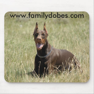 Den röda Dobermanmusen vadderar Musmatta