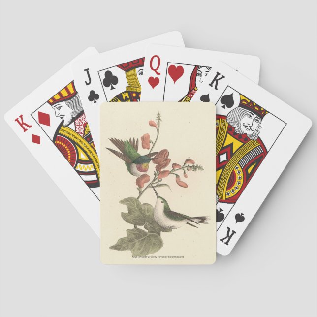 Den röda eller ruby-throated Hummingbird Casinokort (Baksidan)