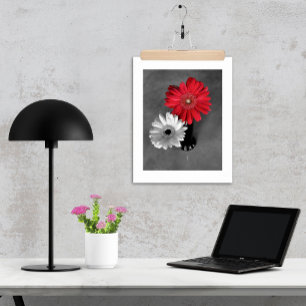 Den röda färgstänkGerber daisyn fotograferar Poster