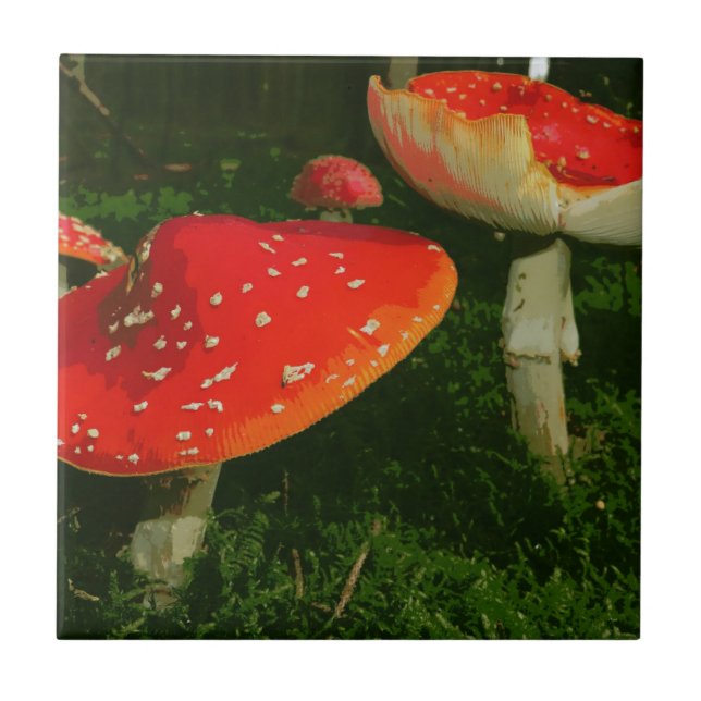 Den röda flugsvampamanitaen Muscaria plocka svamp Kakelplatta (Framsidan)